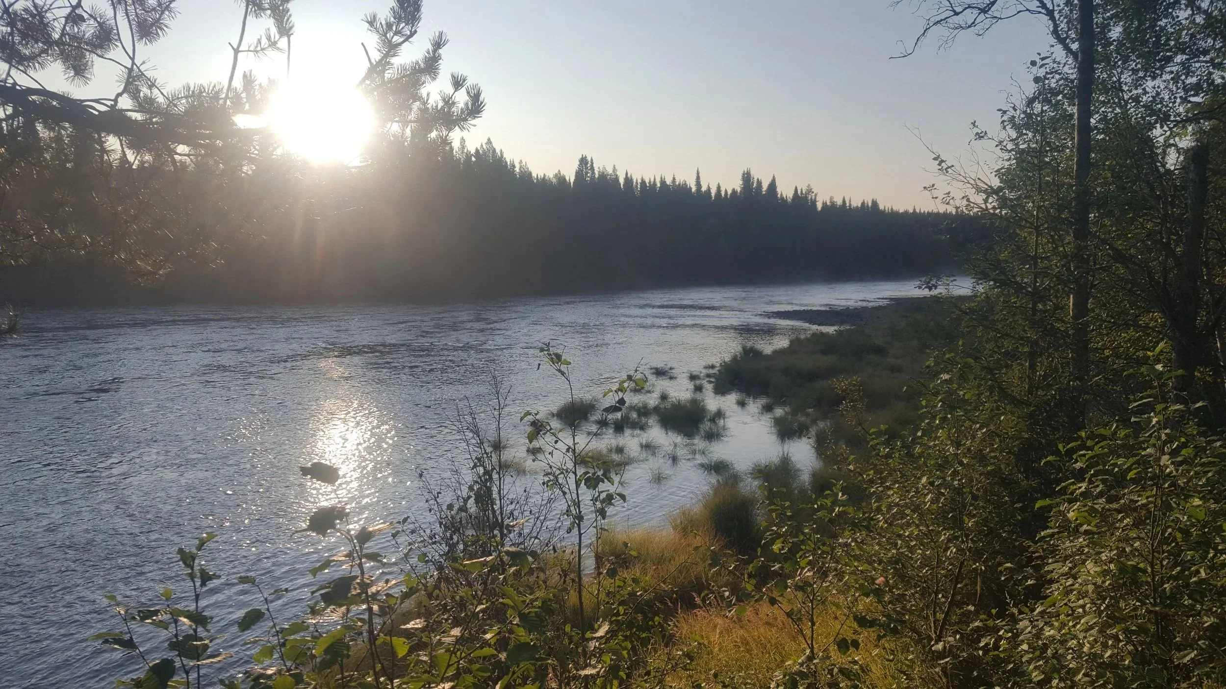 Sun shining over a river surrounded by trees and bushes, with mist rising from the water in a peaceful natural landscape.