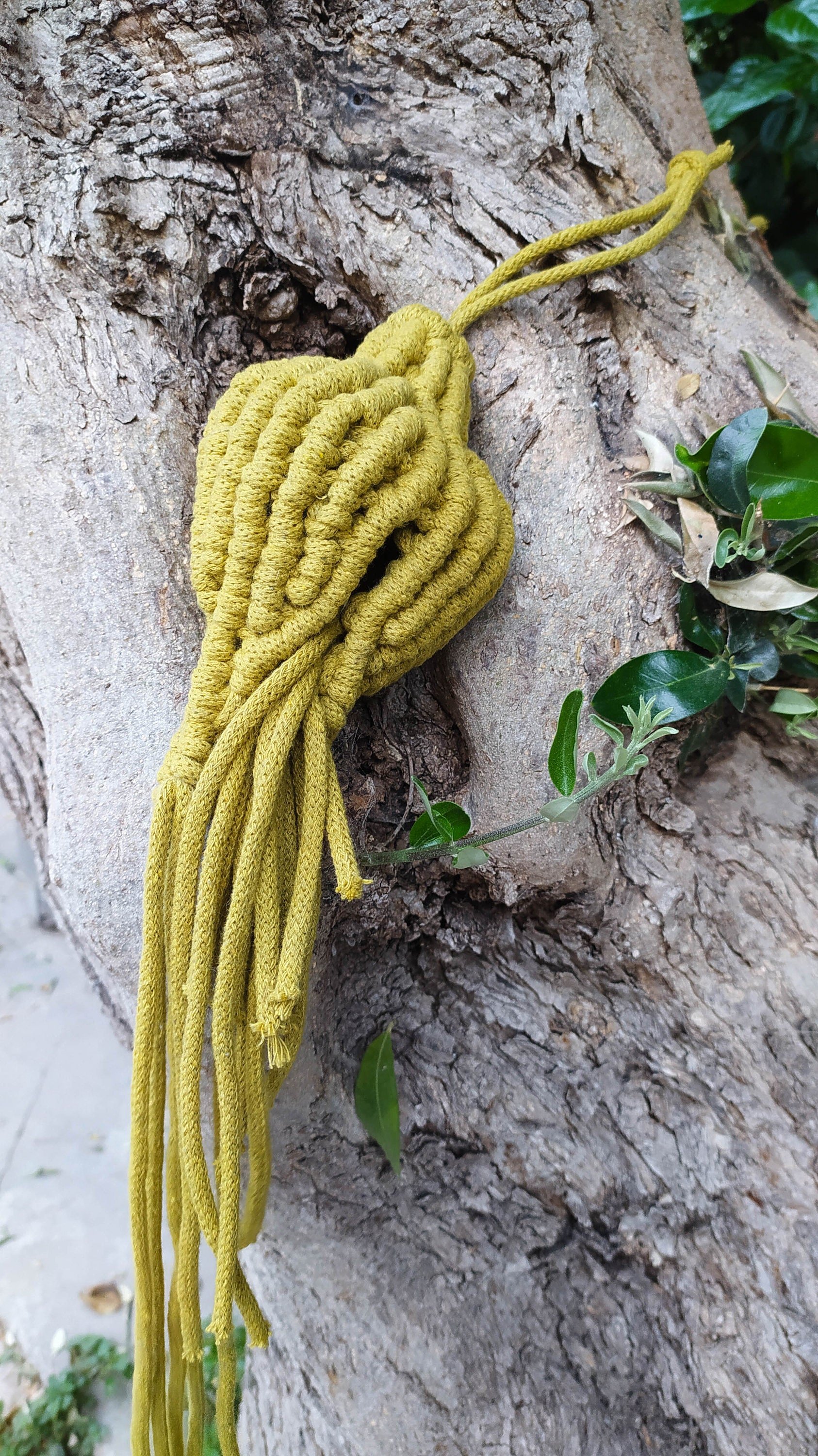 https://i.etsystatic.com/8938439/r/il/78b9ca/3142461473/il_fullxfull.3142461473_j8l8.jpg
