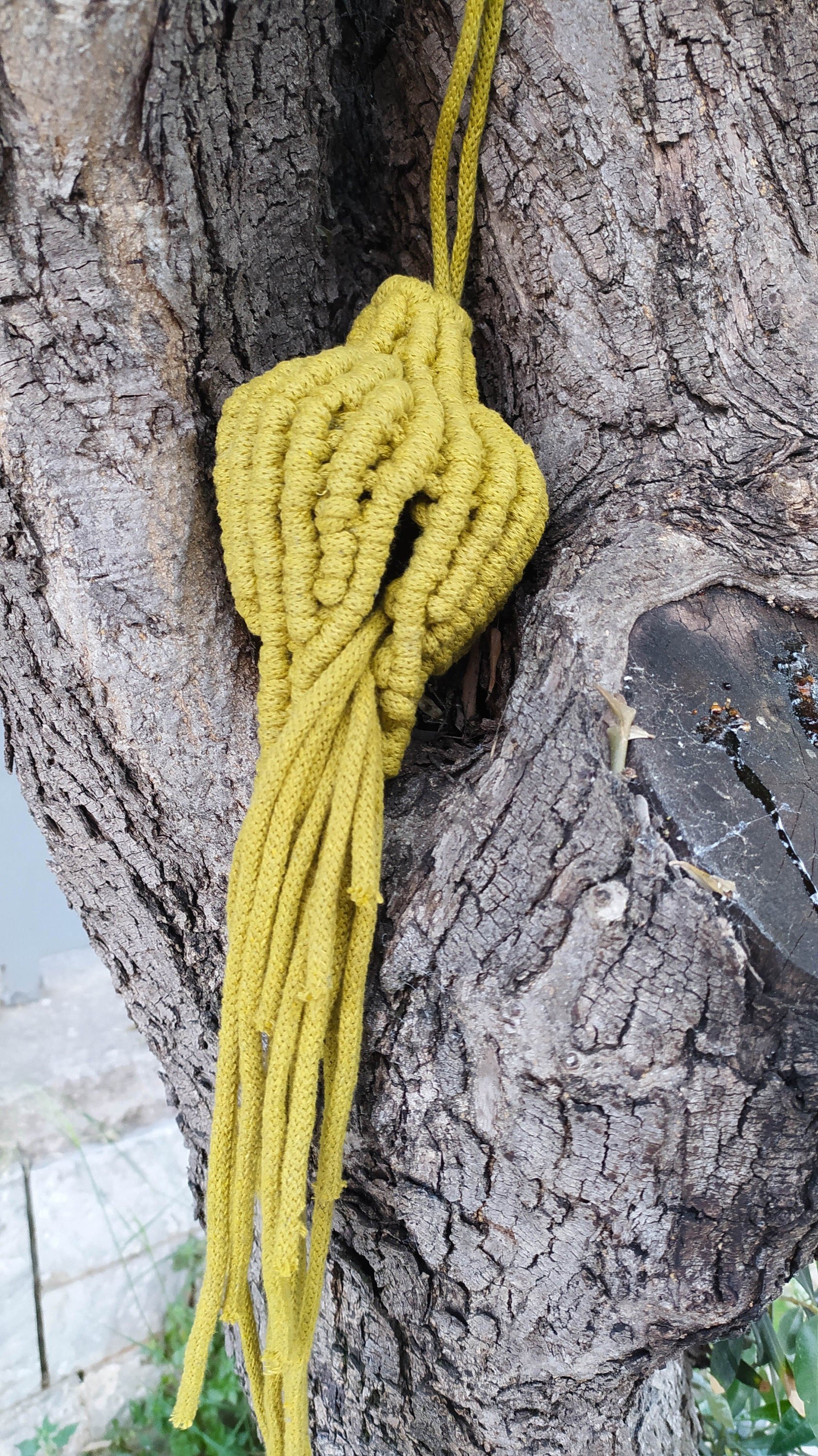 https://i.etsystatic.com/8938439/r/il/0e614a/3142464729/il_fullxfull.3142464729_8zqz.jpg