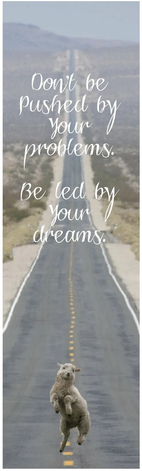 hump day thoughts 