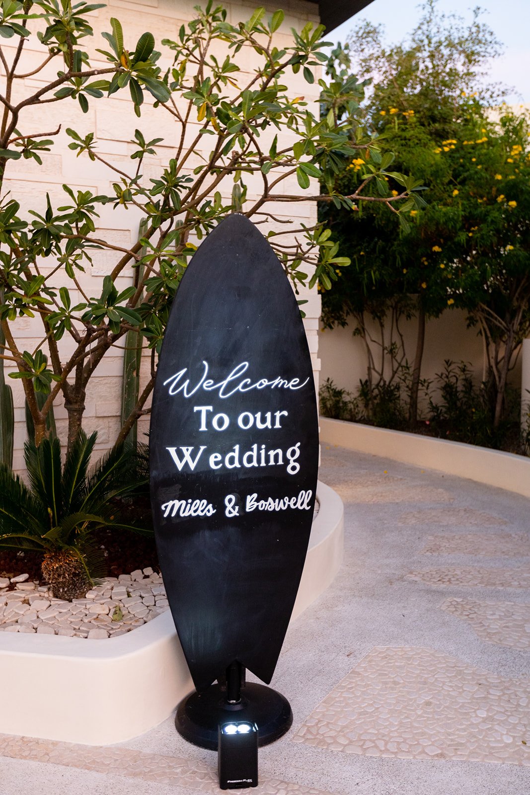 Best Cabo Wedding Planner-Melissa Fancy Events - Destination Wedding Planner- Chileno Bay Wedding - Cabo Wedding48.jpg