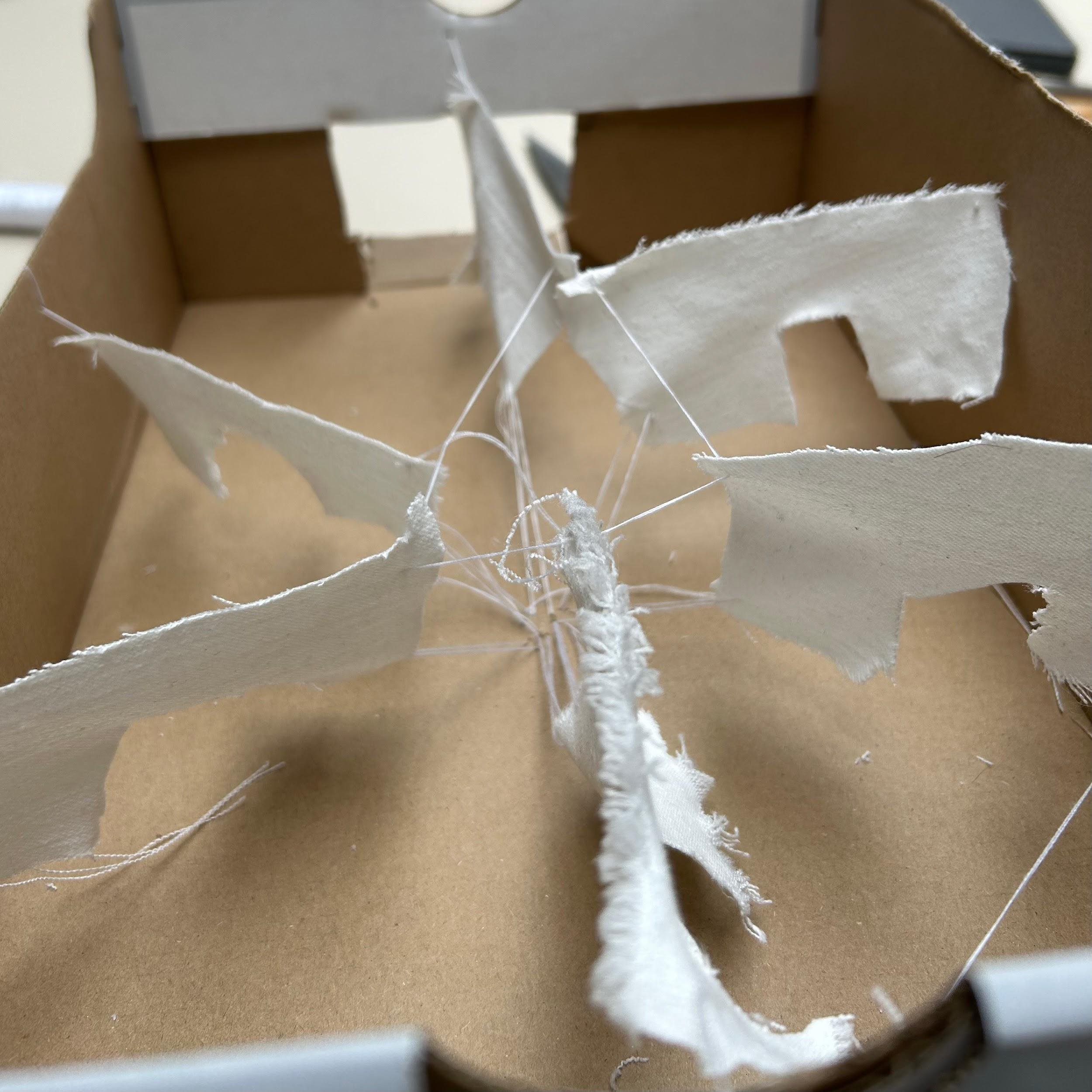 Gea van Eck, concept joint artwork model