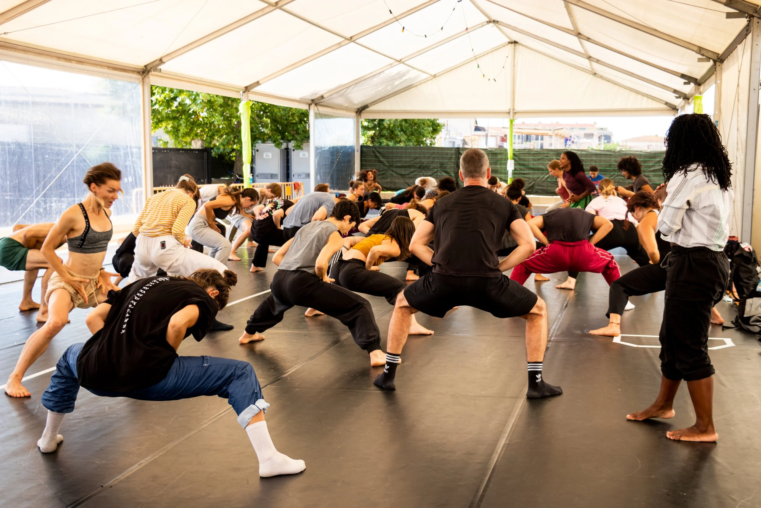 Alleyne Dance Workshops, Vertebra Dansa, Tortosa, Spain