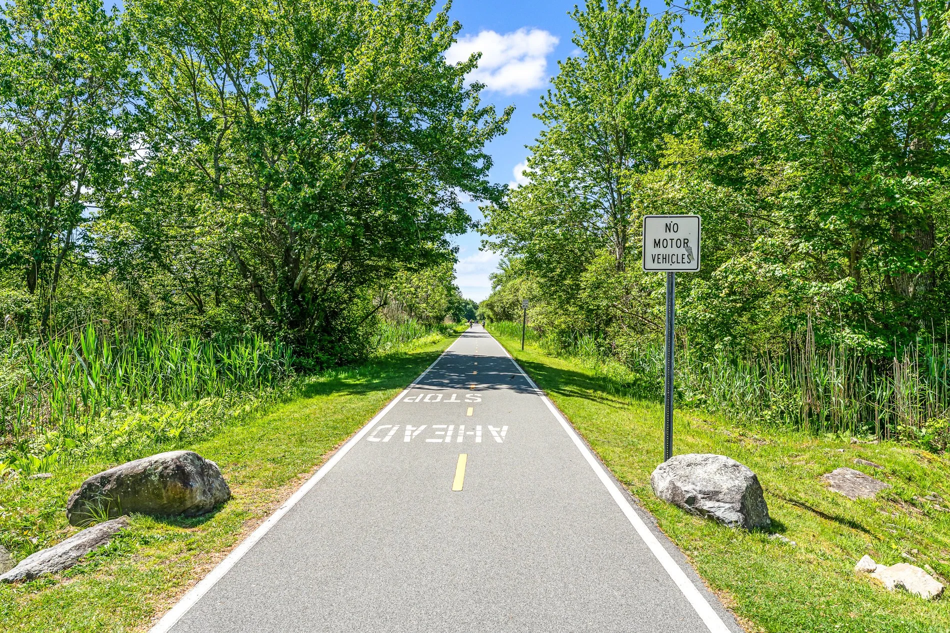 454 Paddock - MLS Res 15 bike path.jpg