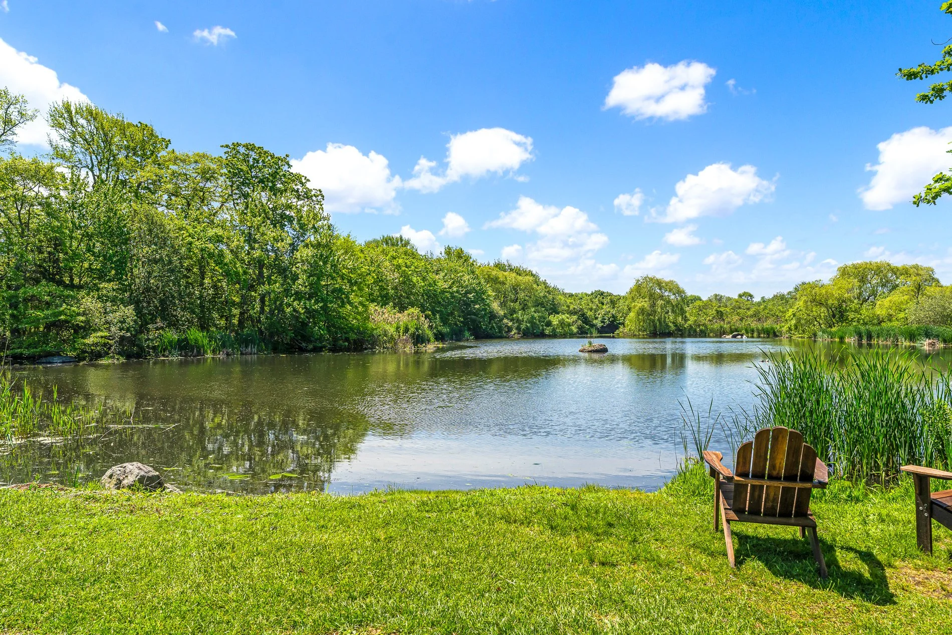 454 Paddock - MLS Res 14 pond.jpg