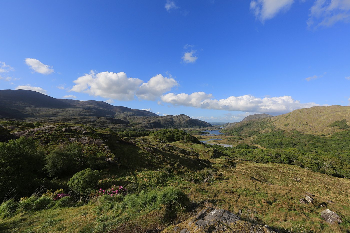 Irland: Ring of Kerry - Ladies View