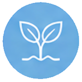 Sprout icon in a circle