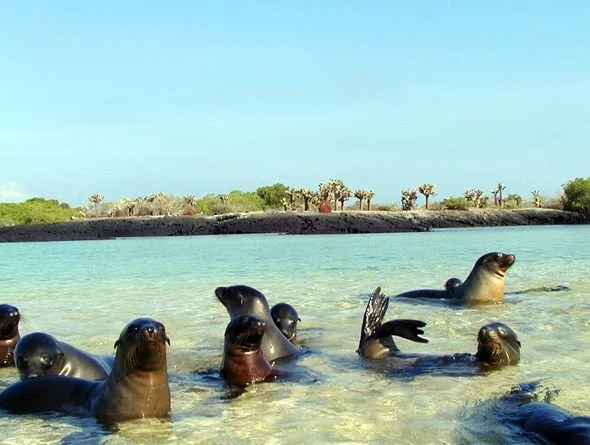 Galapagos Islands