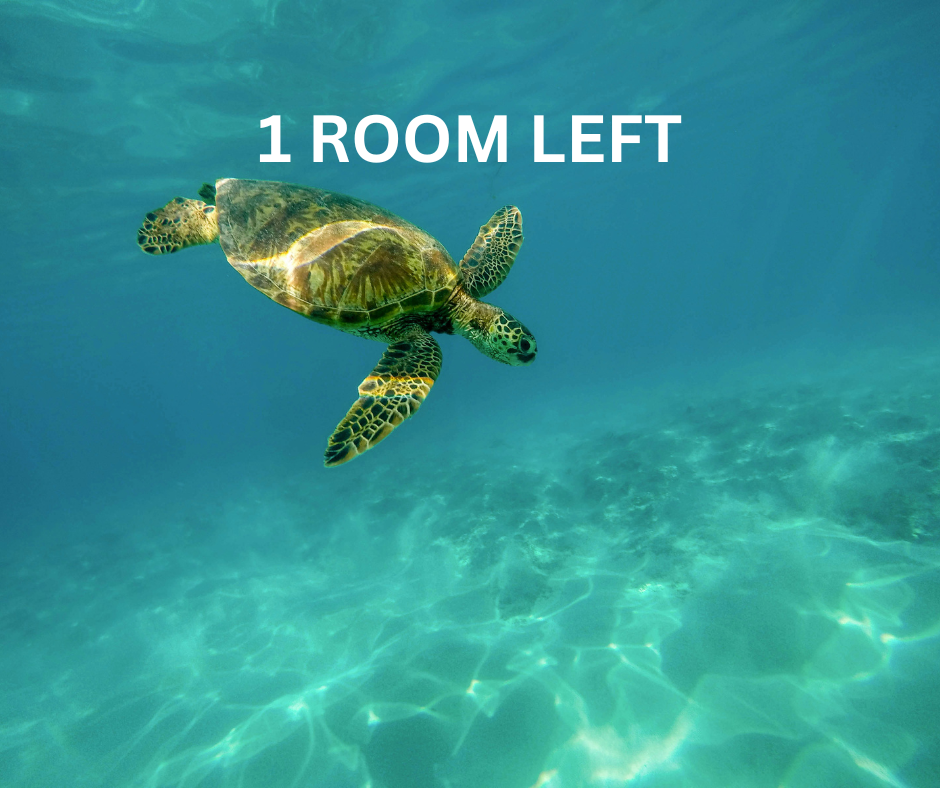 Galapagos Islands &amp; Ecuador Adventure 2026