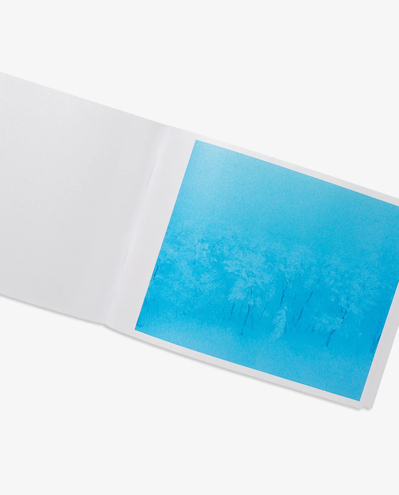 CFL-Float-in-the-snow5.webp