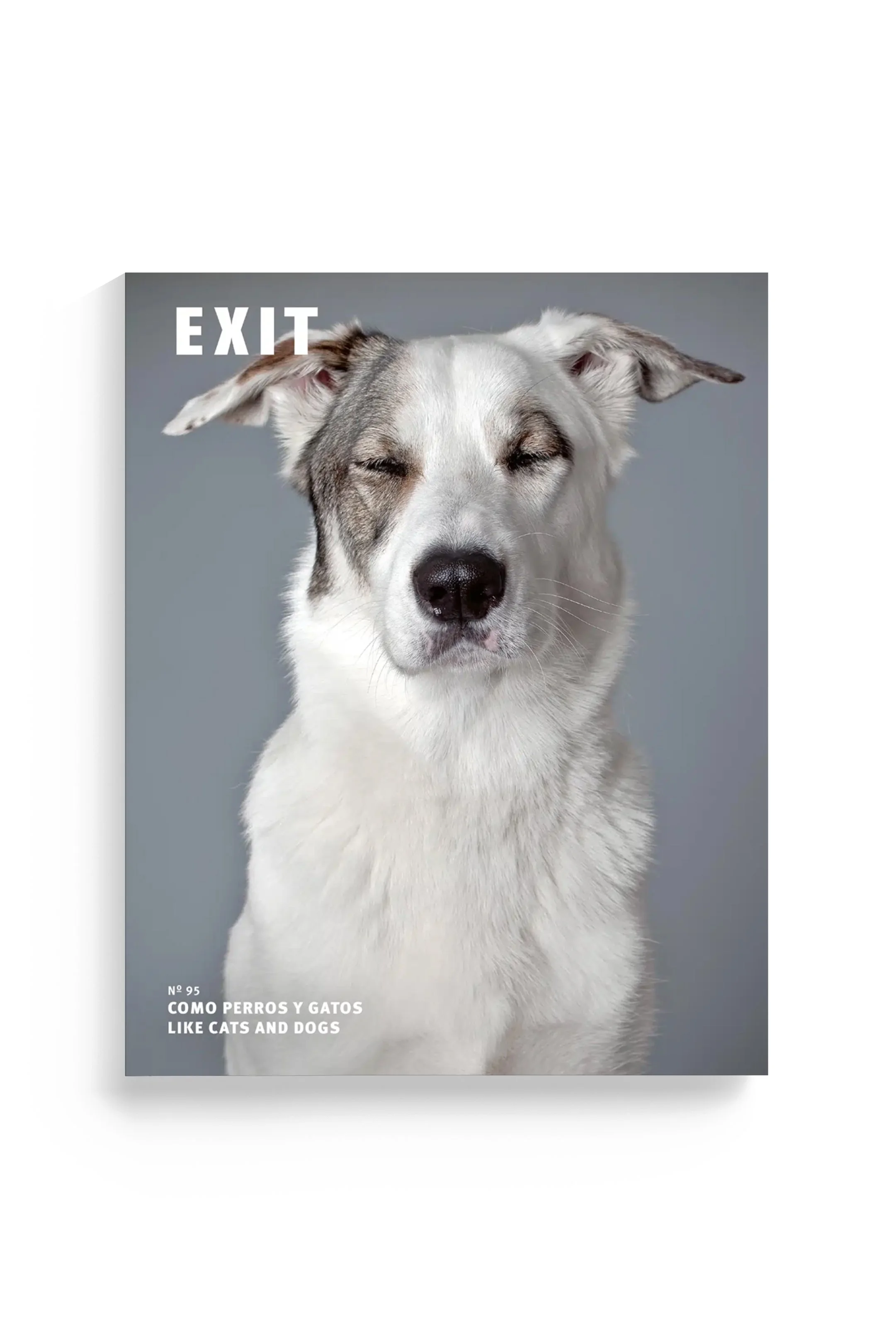 EXIT MAGAZINE - Issue#95 - Like cats and dogs