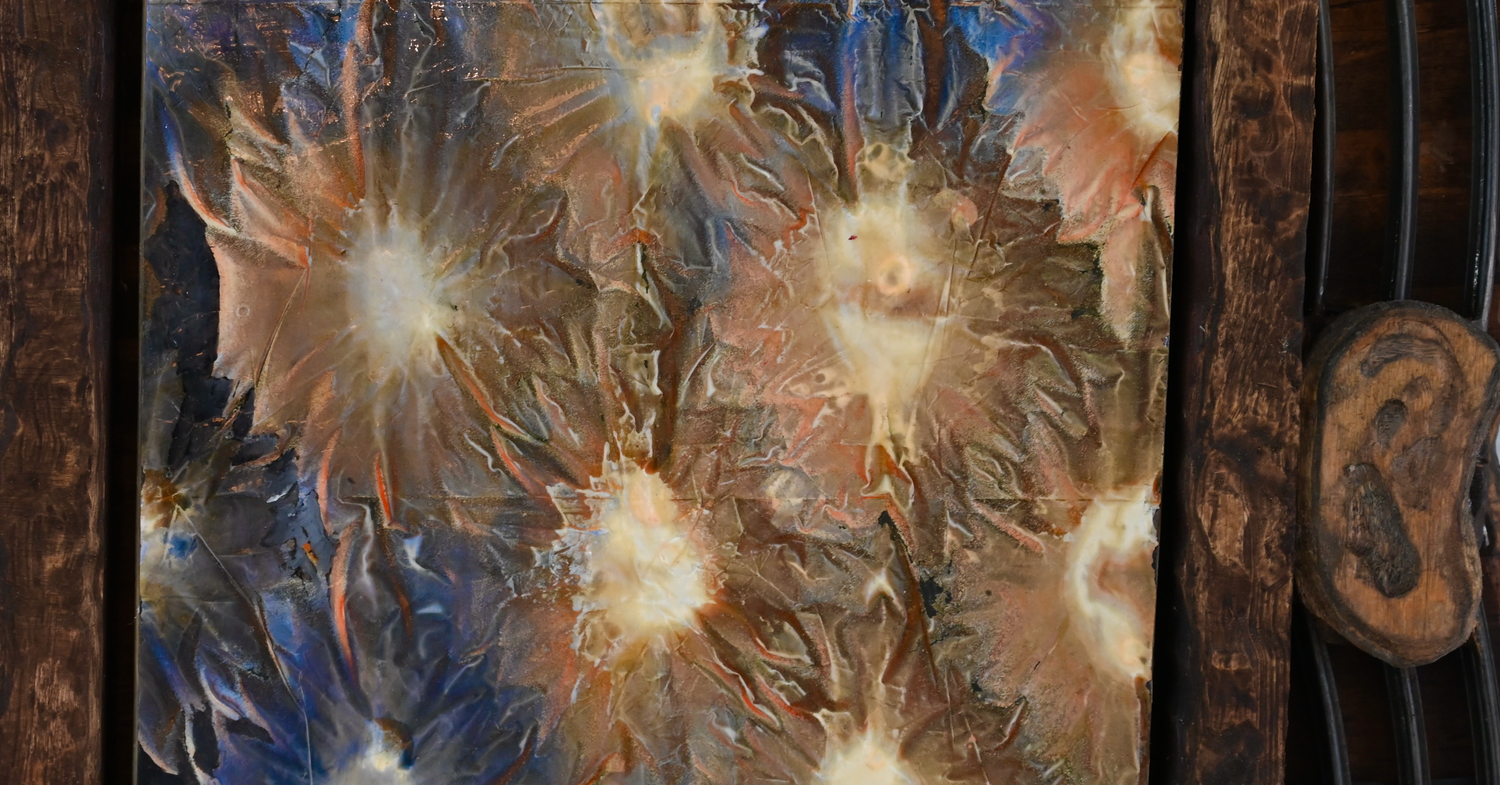 Current & Upcoming Exhibitions — Vox Populi