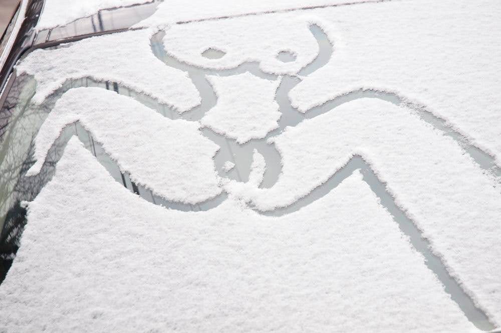 The Origin of the World