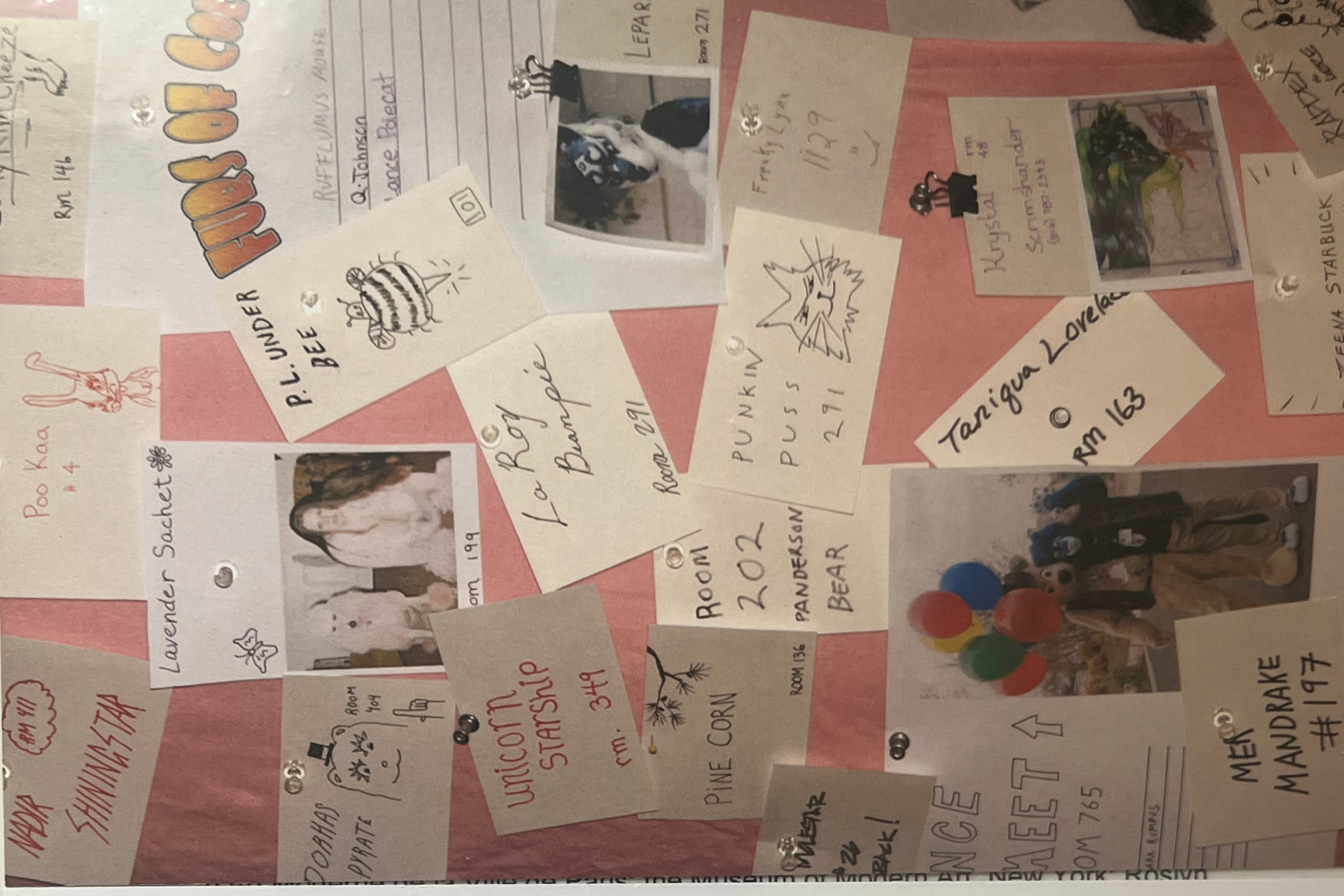 One Gray Grass in the Ball Field