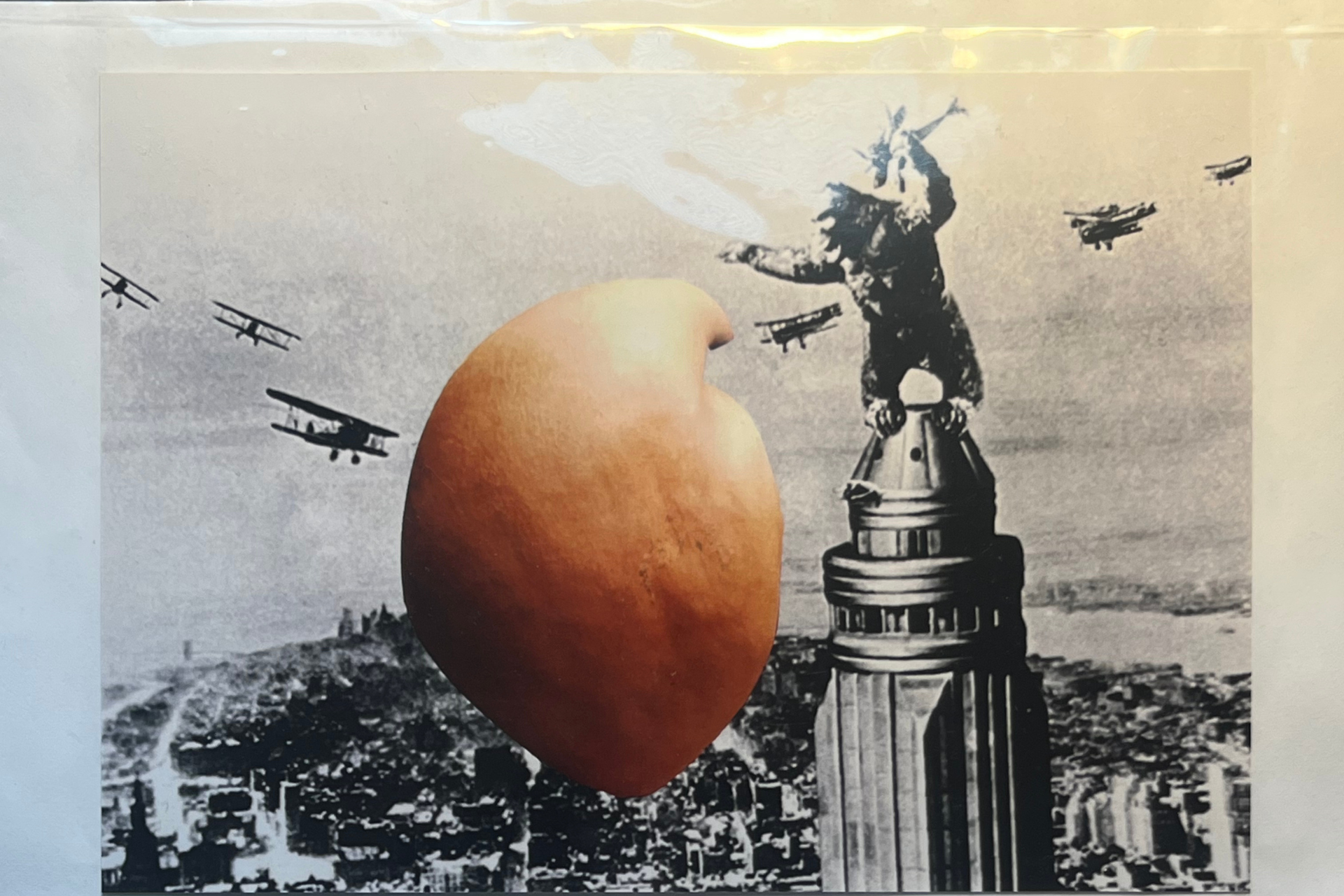 Portrait of Jack Goldstein