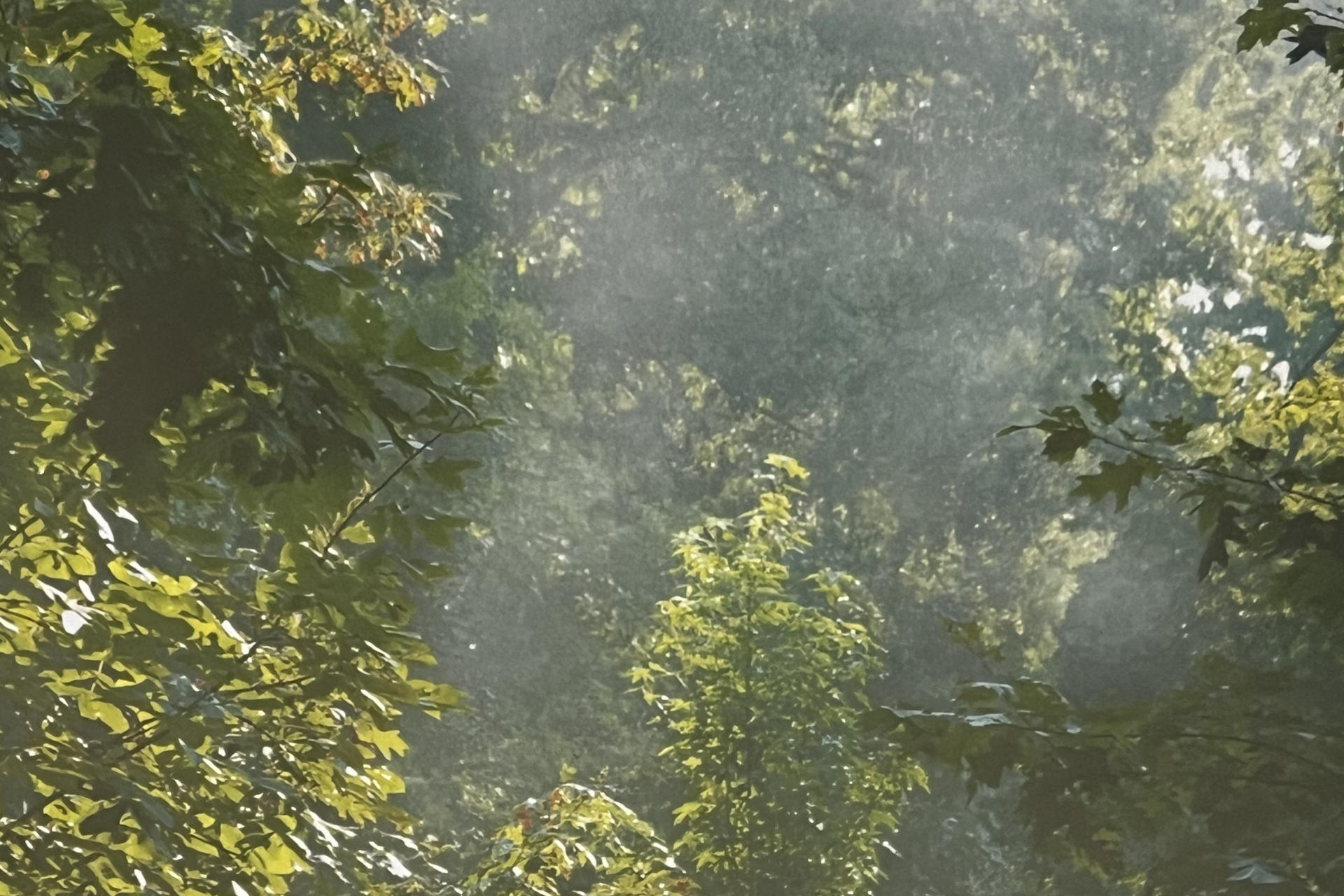 Horizontal Boundaries