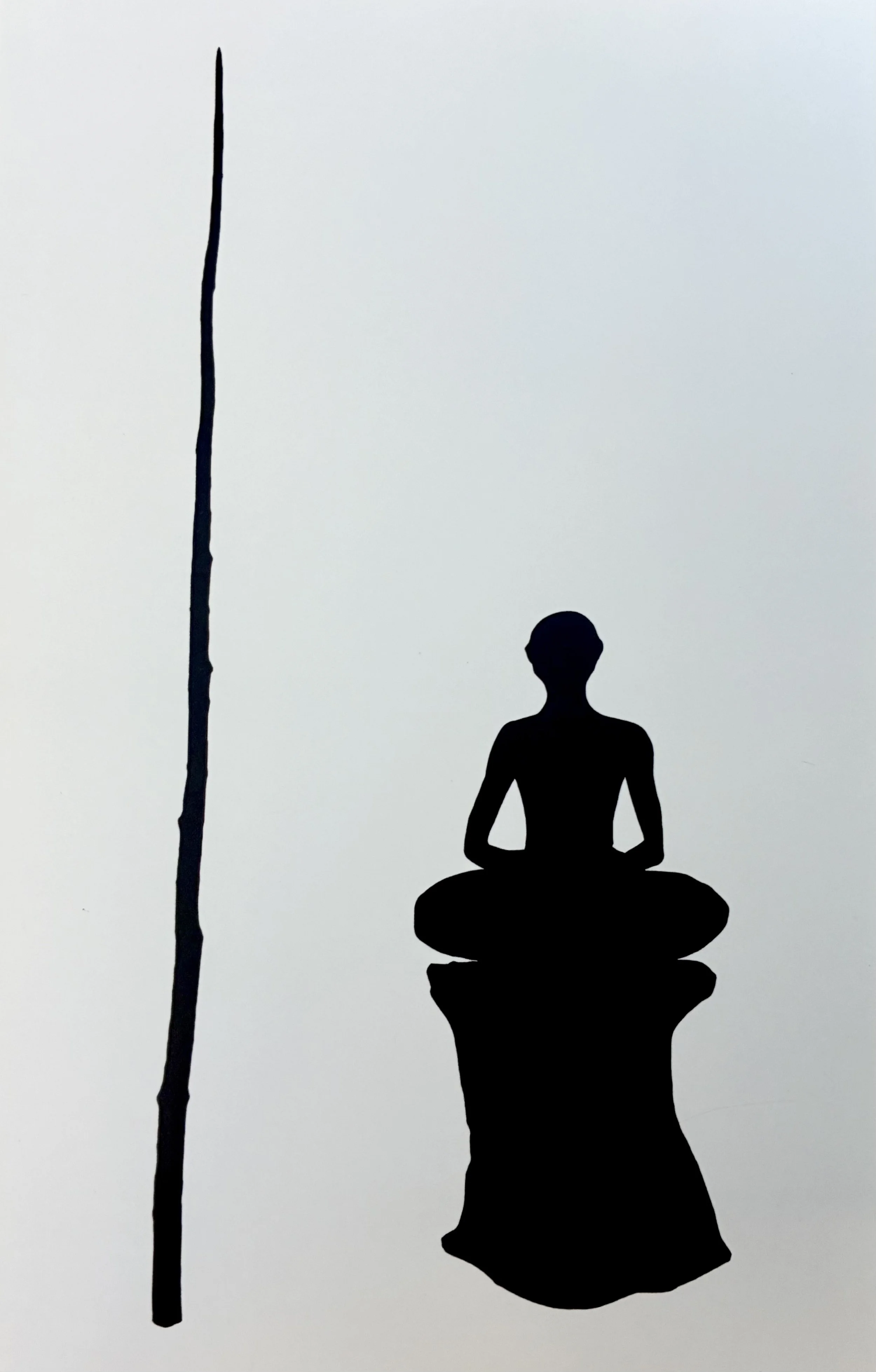 THE SHADOW OF THE EMPIRE