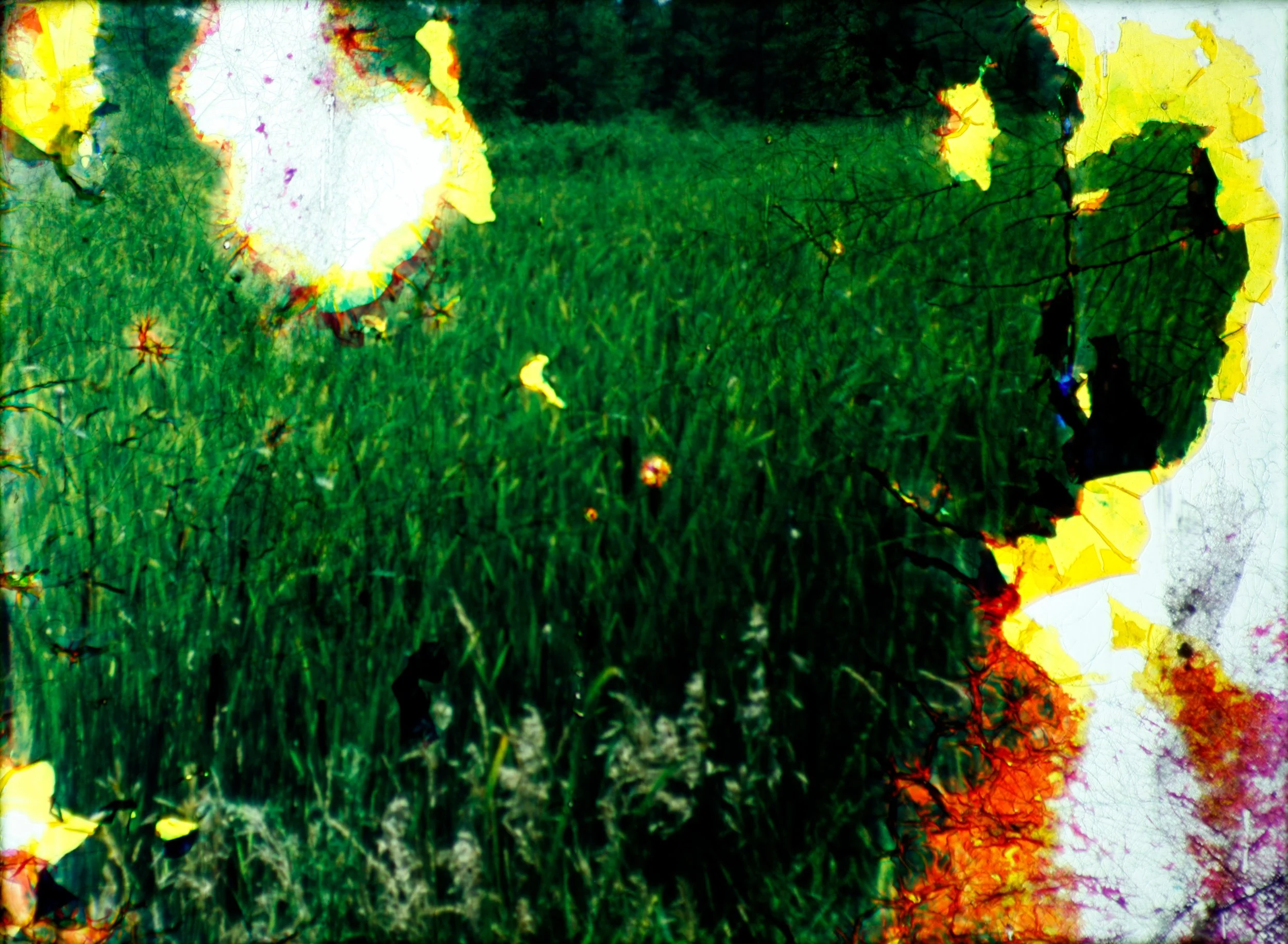 Vox-Heritage Road Wetlands.jpg