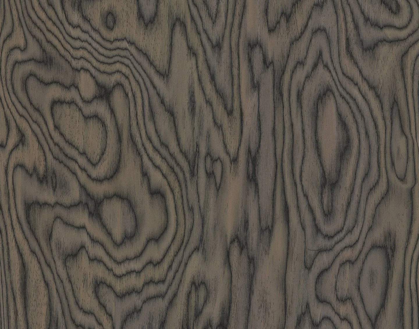 Close-up of natural wood surface with dark grain patterns. Ettore Sottesas Veneer Alpi Alpignum. Interior Design for a Loft called BASE in Zürich by Auliseo (Aurèle Eliseo Stauffer).