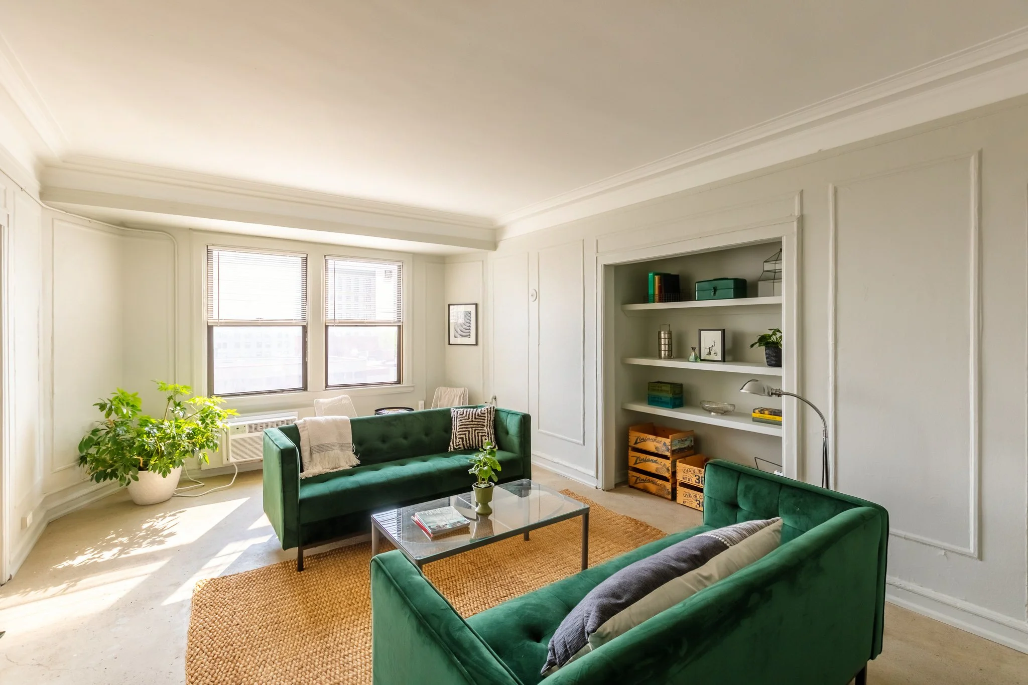 Bright living room with two green sofas, a glass coffee table, a large potted plant, and built-in white bookshelves with decor, illuminated by natural light from two large windows.