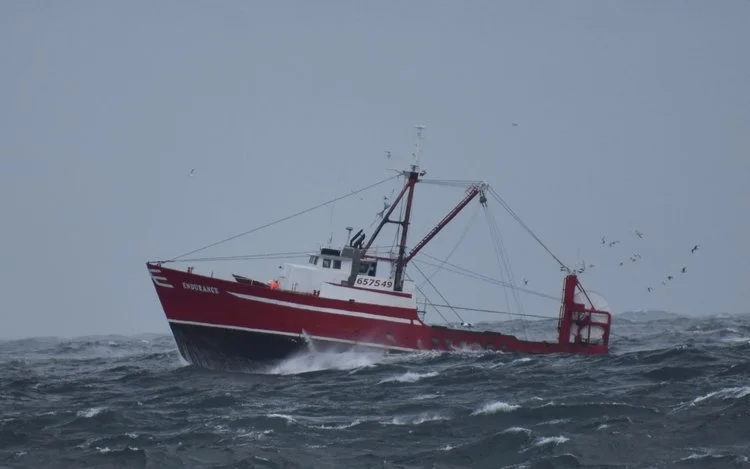 FISHERIES BOTTOM TRAWL SURVEYS