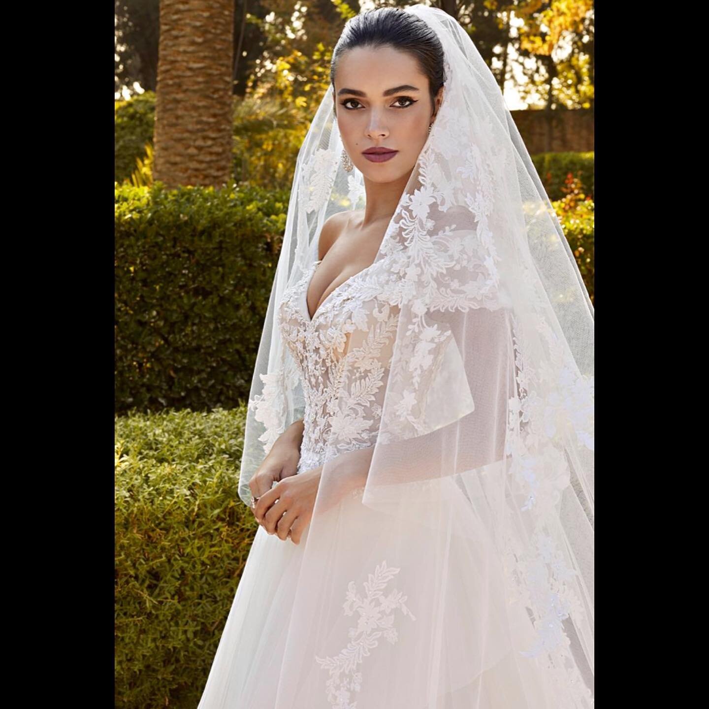 🤍
#bride #bridetobe #bridal #wedding #gettingmarried #demetrios #demetriosbride #bridalgown #bridalgowns #bridaldress #bridaldresses #weddinggown #weddinginspiration #weddinginspo #weddinggowns #weddingdress #weddingdresses #formalwear #formal #sa