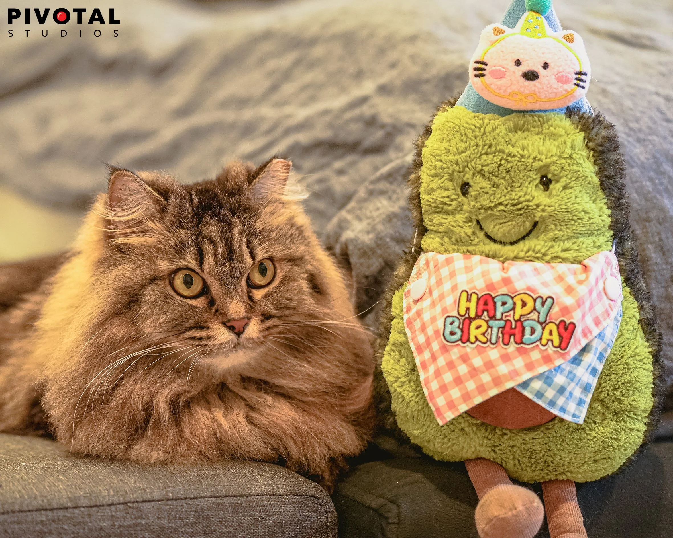 Meow_36.jpg