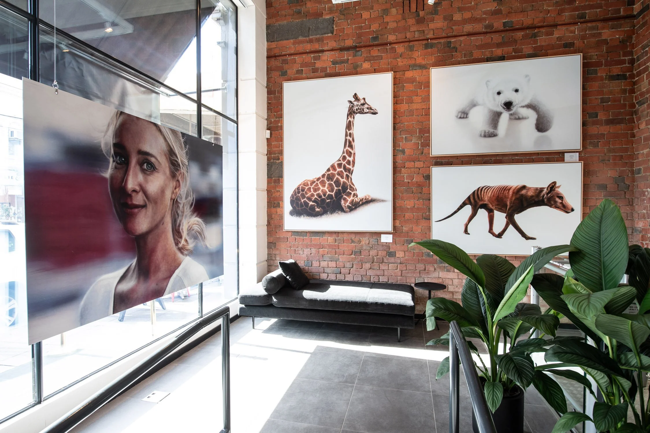 Fantauzzo Gallery | Design & Build