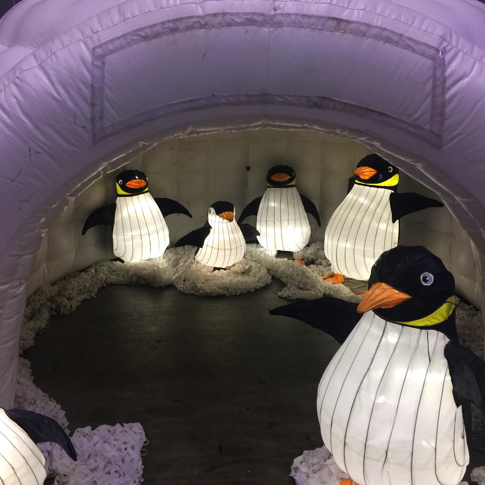 penguins.jpeg