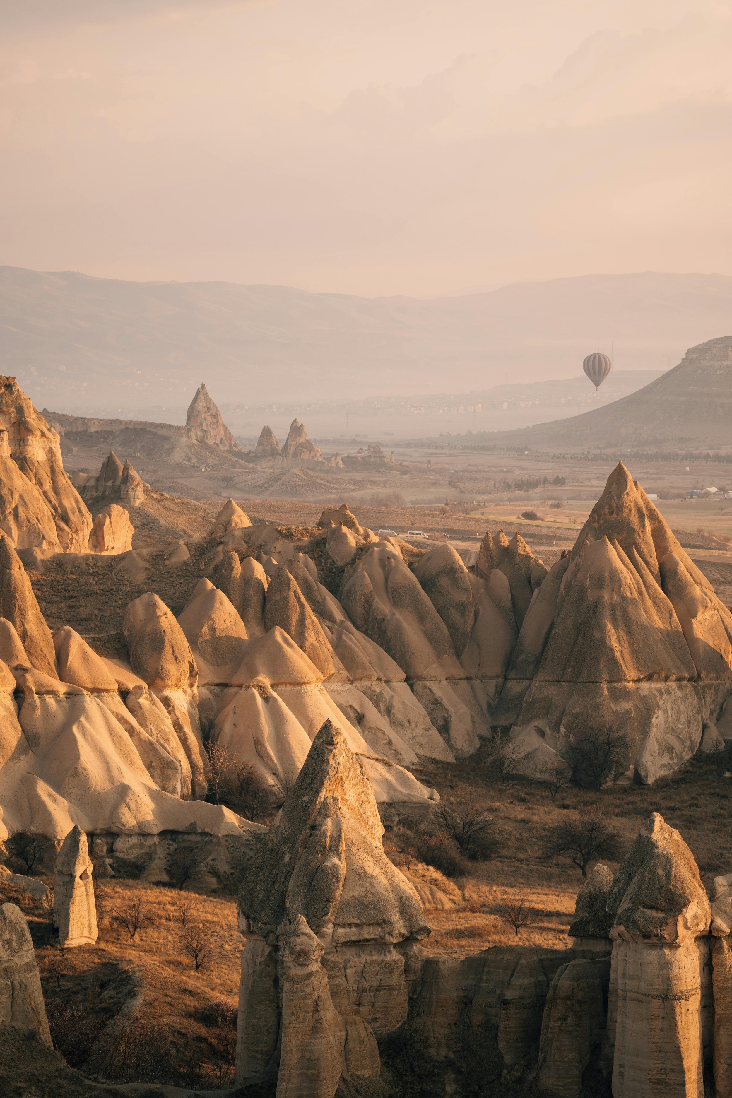 Who Needs Photographers?
Exploring the Importance of Professional Photography Photography plays a crucial role in various industries, from marketing and advertising to journalism and personal mi