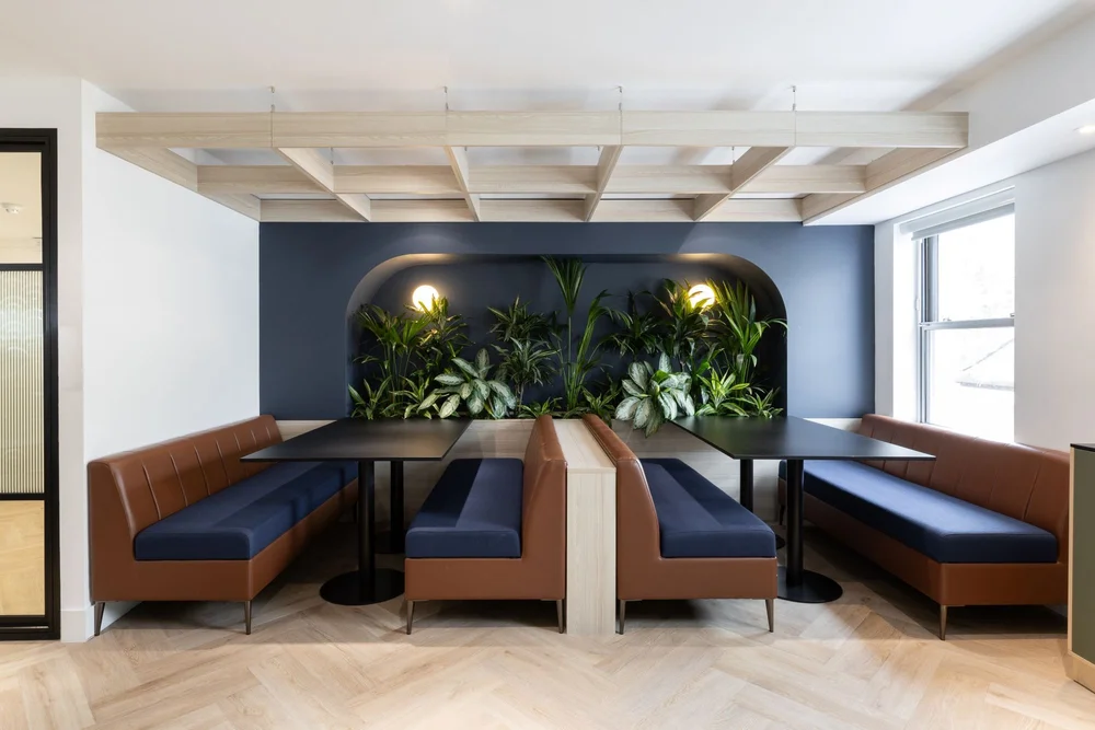 Upholstered booths and planting within the workplace