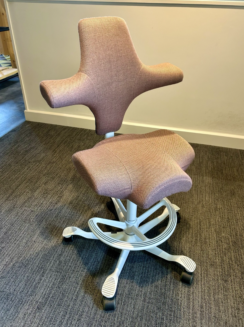 HÅG Capisco upholstered chair with foot ring, actual sale item