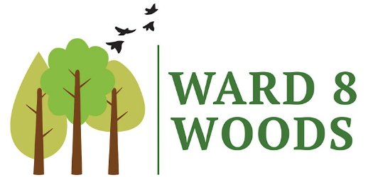 ward8-woods.jpg