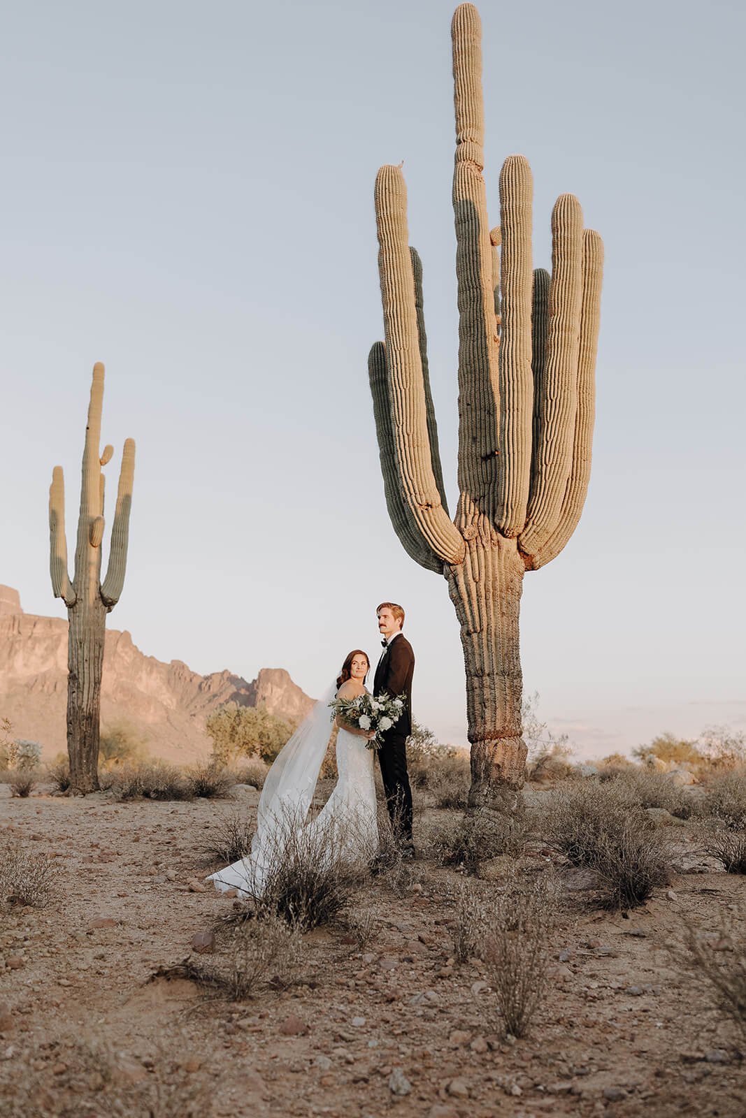 Bride and groom in front of a saguaro cactus for Arizona destination wedding