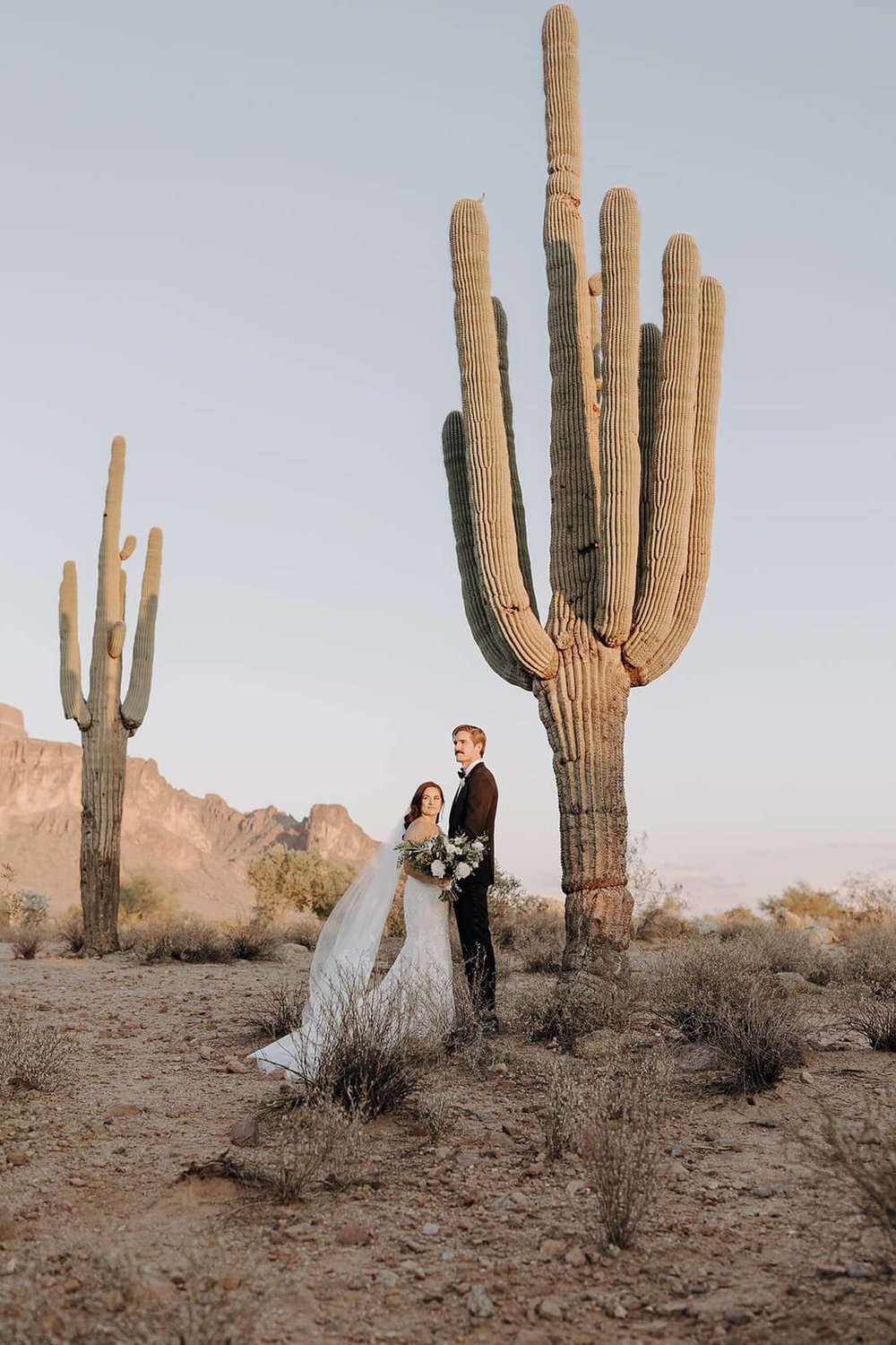 Bride and groom in front of a saguaro cactus for Arizona destination wedding