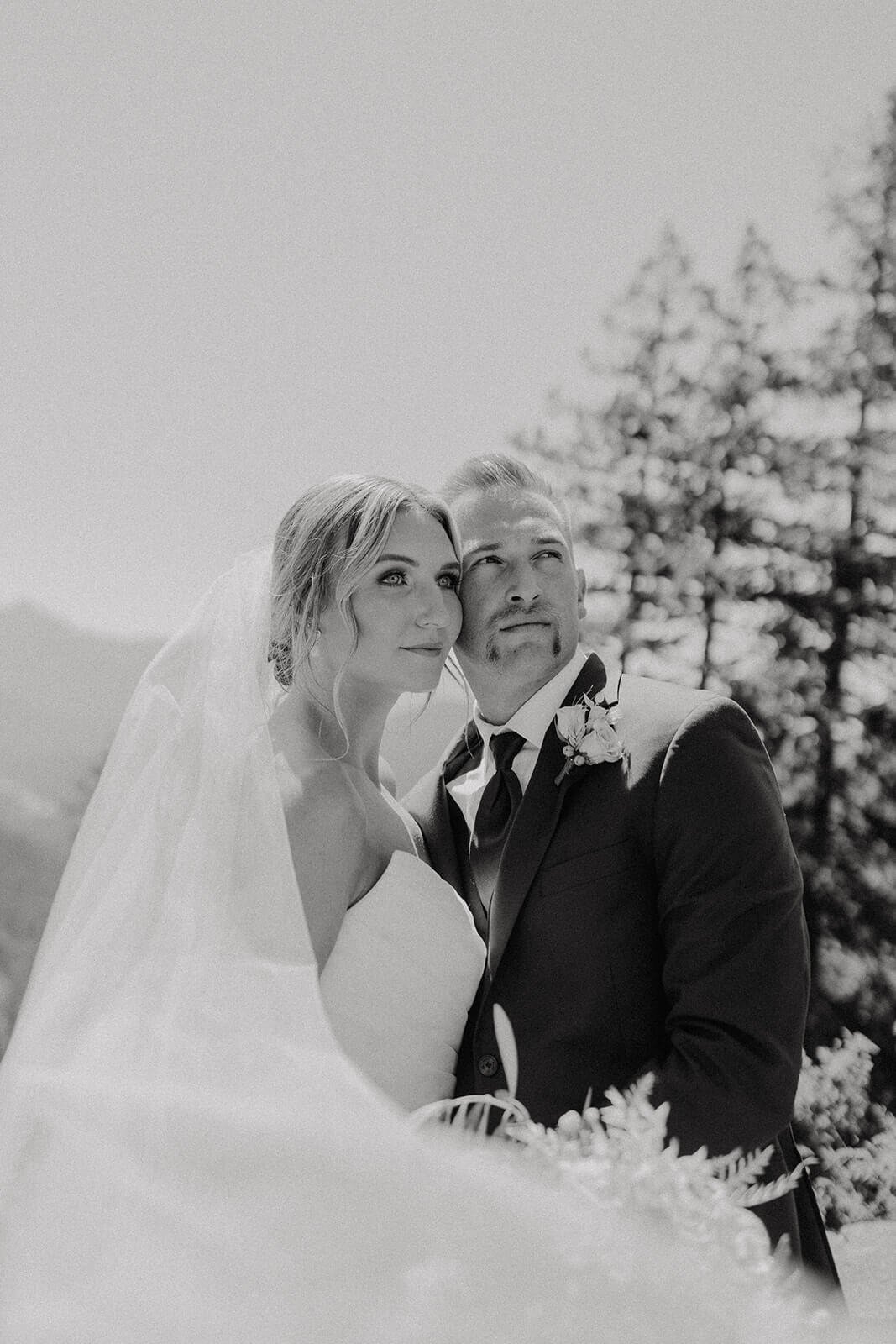 Bride and groom couple portraits at Mount Rainier wedding