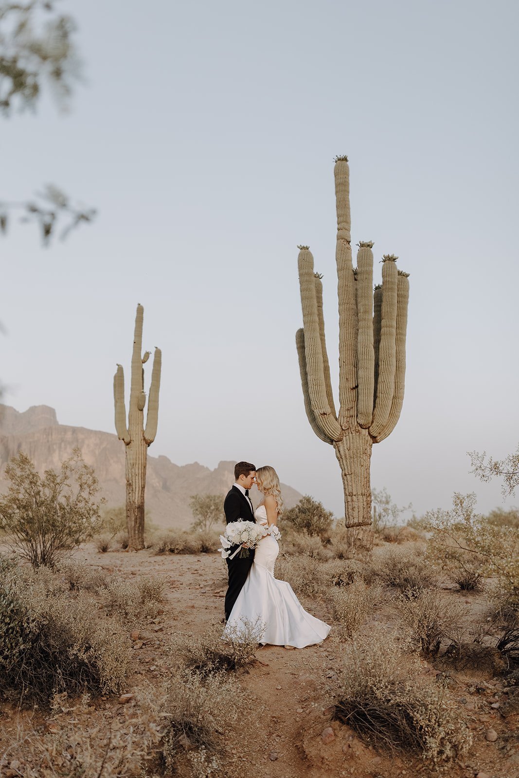 Bride and groom standing forehead to forehead in front of a cactus in the Arizona desert