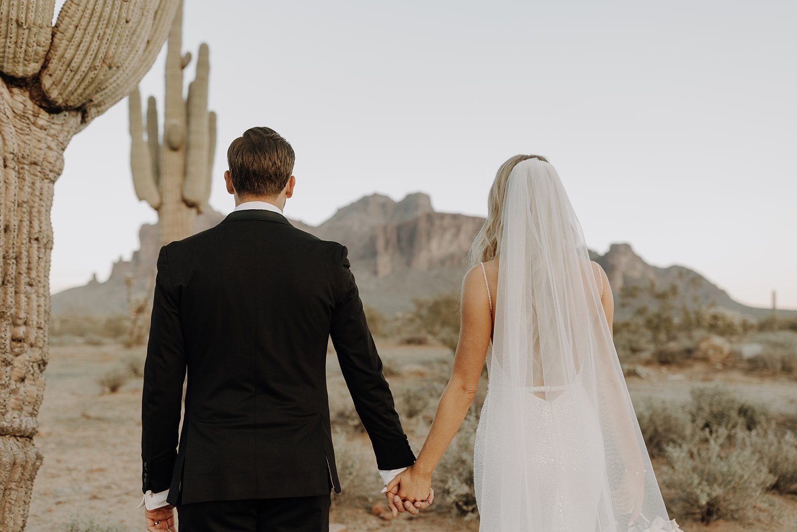 Bride and groom holding hands walking into the desert 