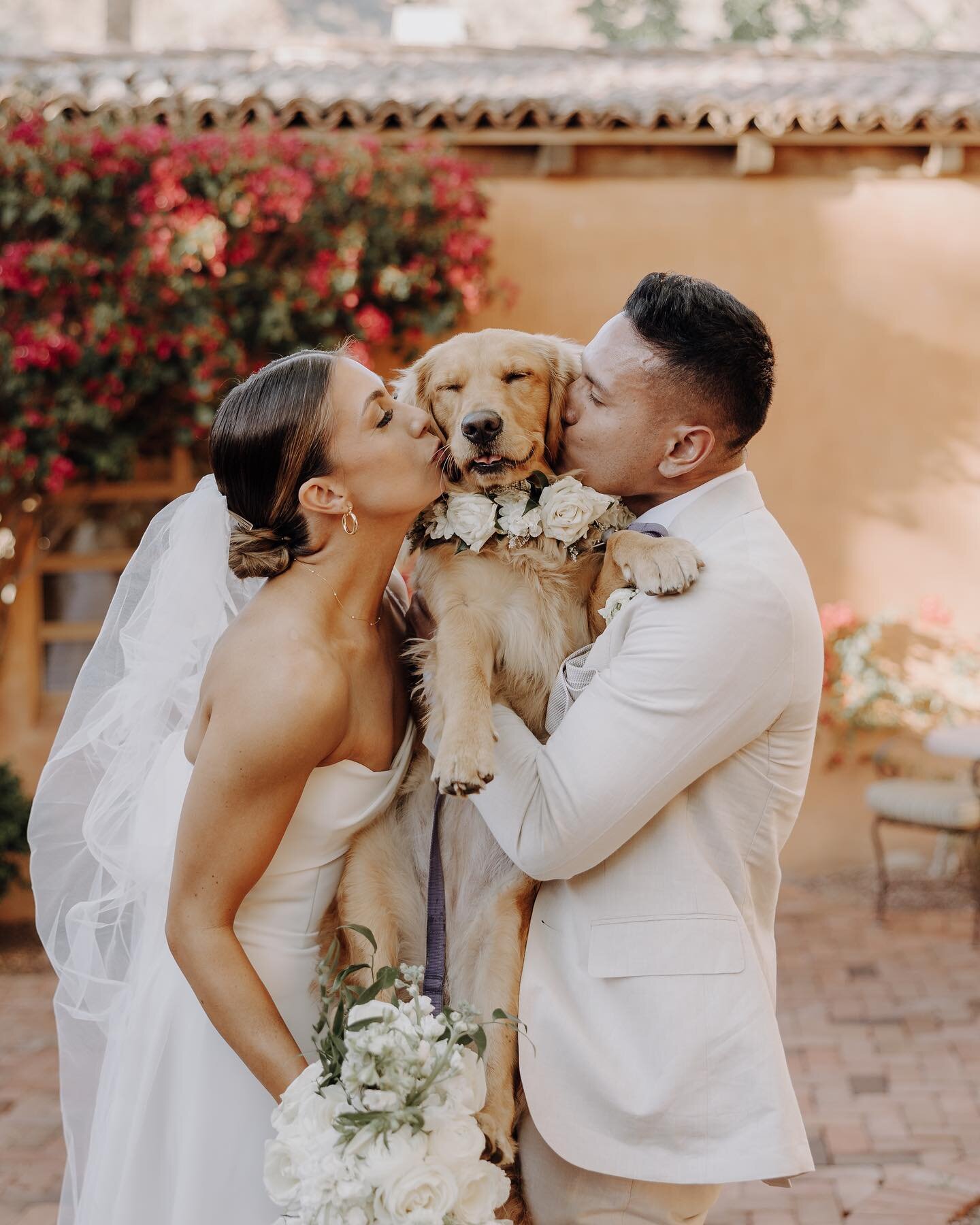 Mr &amp; Mrs Jacobson ✨ 

It&rsquo;s been 3 months since this beautiful wedding at Royal Palms Resort celebrating Harriet &amp; Cole! This day was filled with puppy kisses, happy tears, kind words from family &amp; friends, and sweet memories! Can we