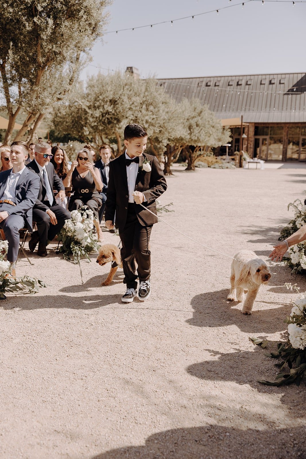 Boy walks two dogs down the wedding aisle during Tuscan-style wedding ceremony