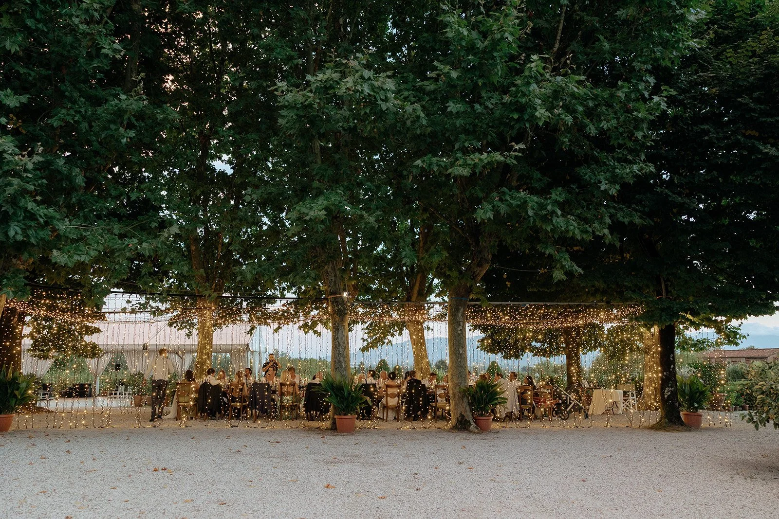 A long outdoor dining table with wooden chairs, set for a meal under trees decorated with string lights and a white runner with greenery for a destination wedding in Italy
