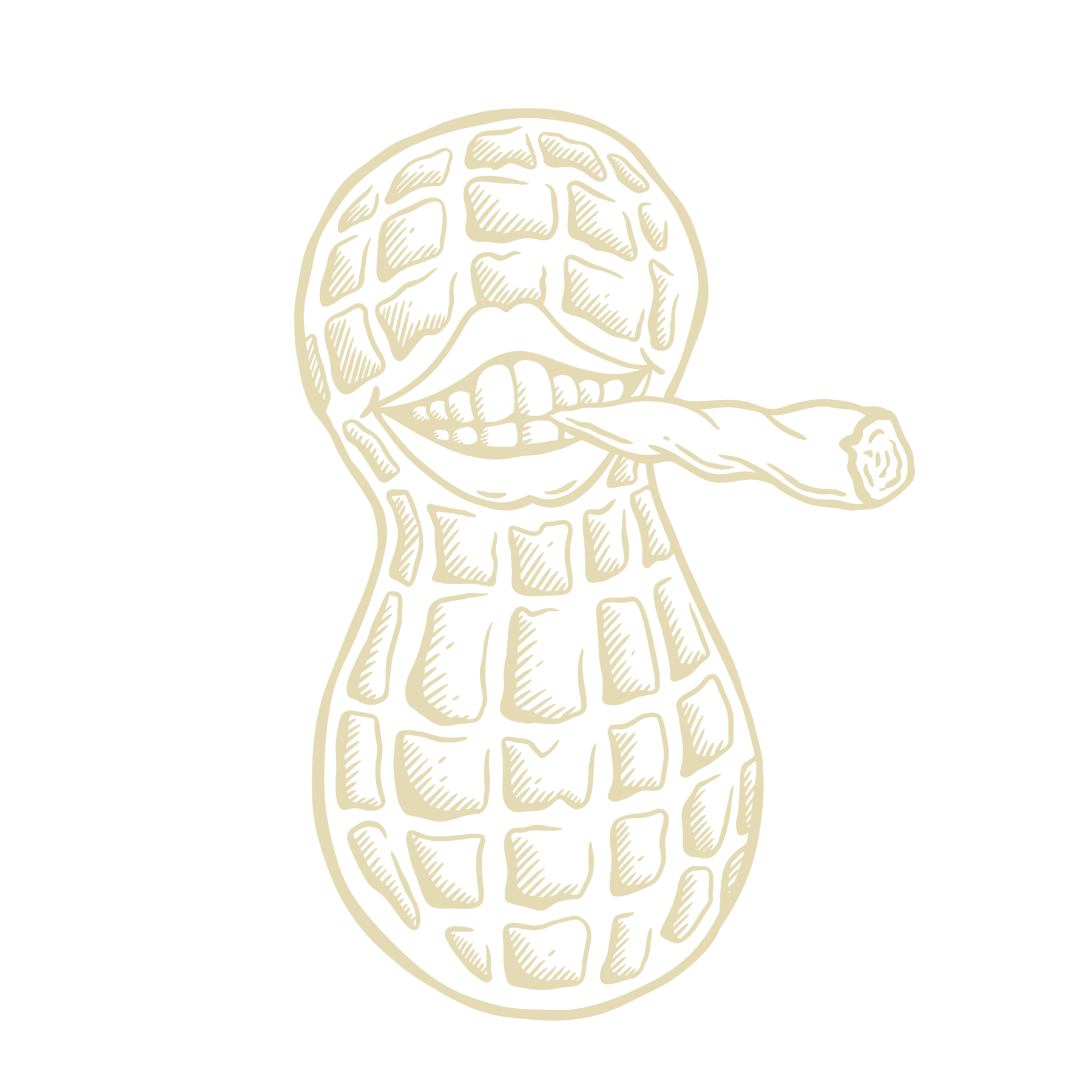 Illustration of a snake with a wide head, tongue sticking out, smoking a cigar.