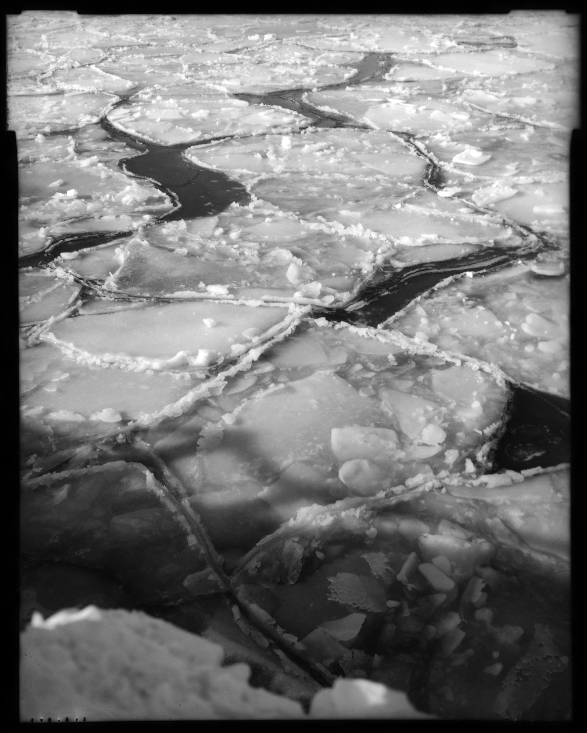 WF_Contact_Sheet_04 copy.jpg