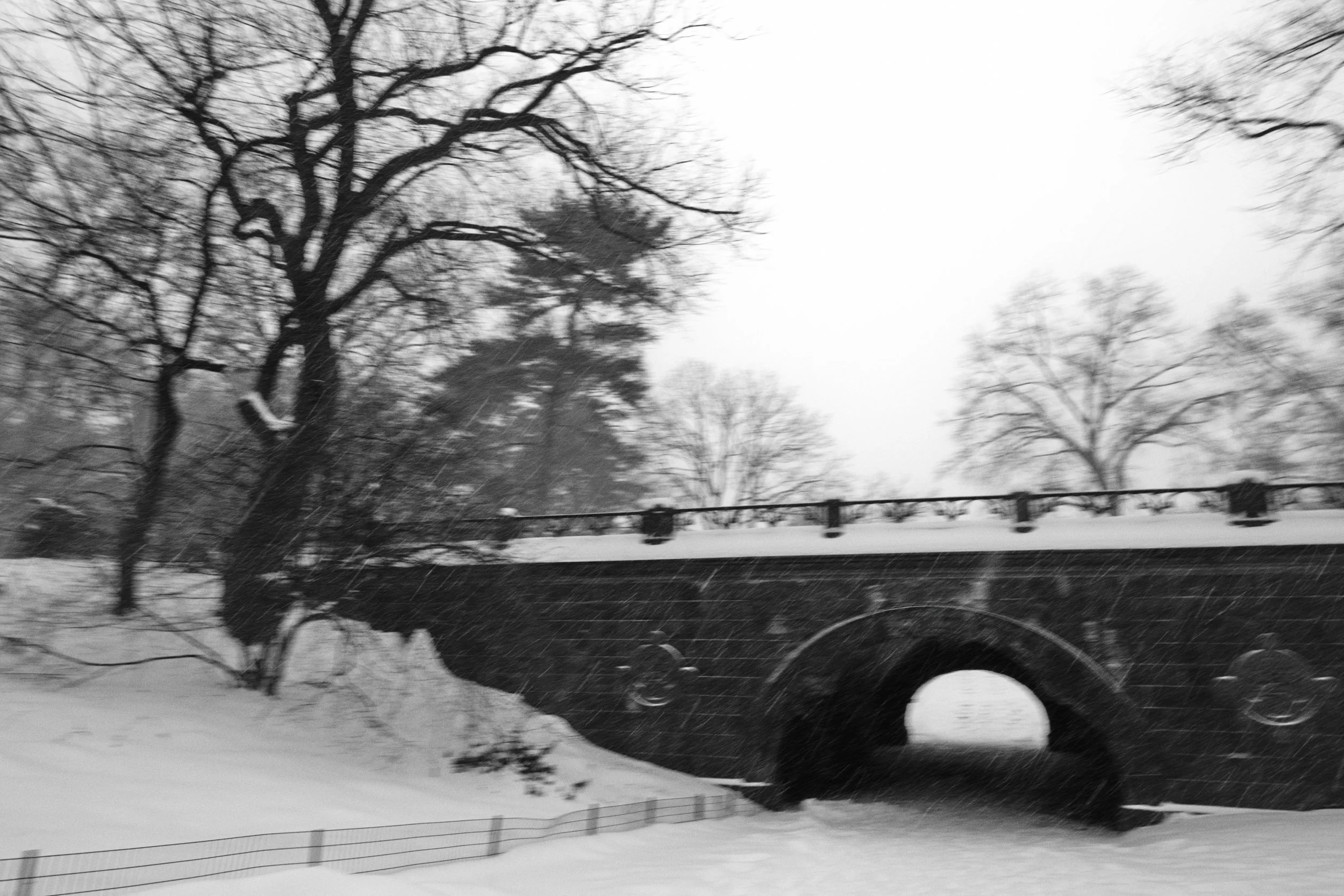 _DSC9342.jpg