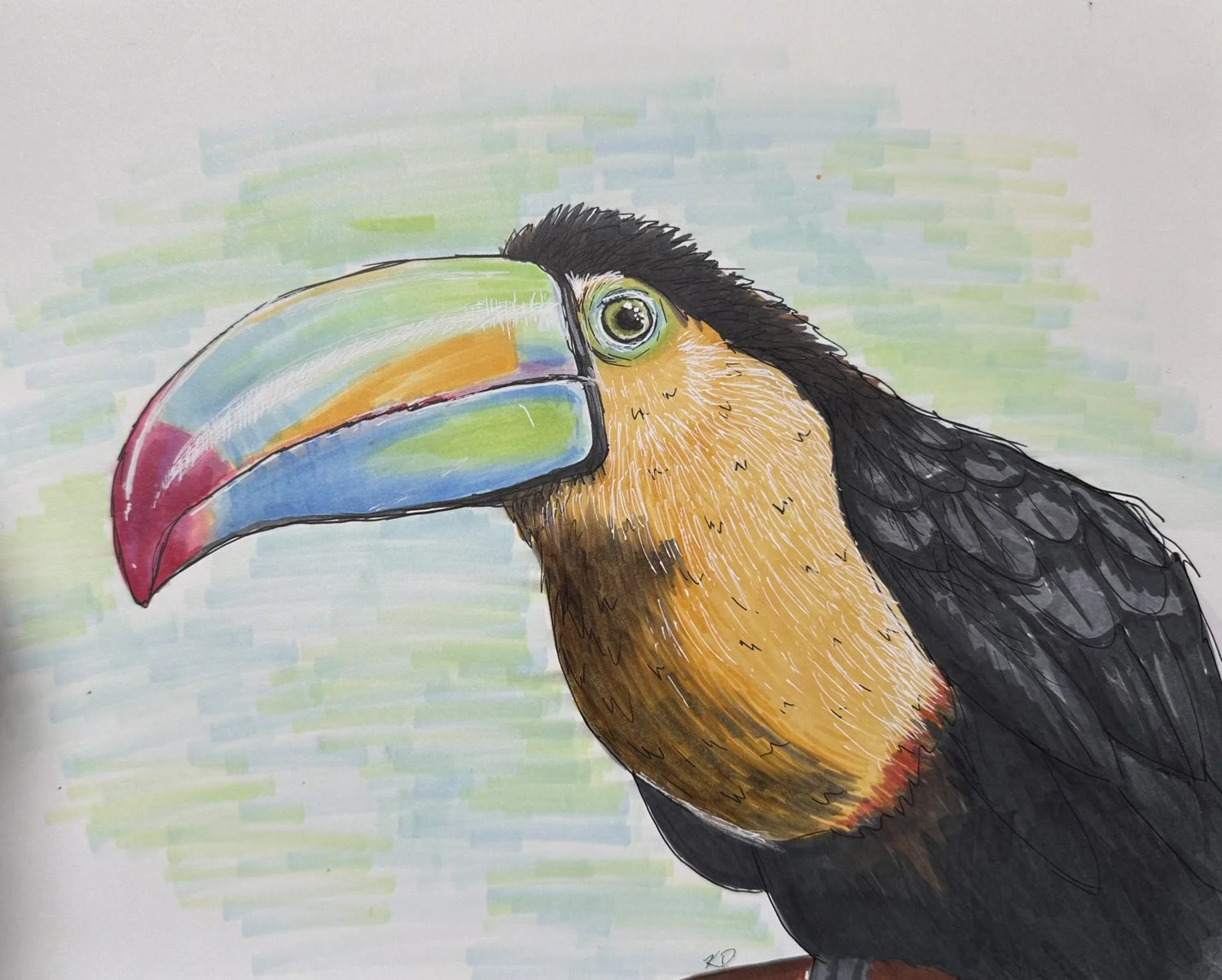 toucan.jpg