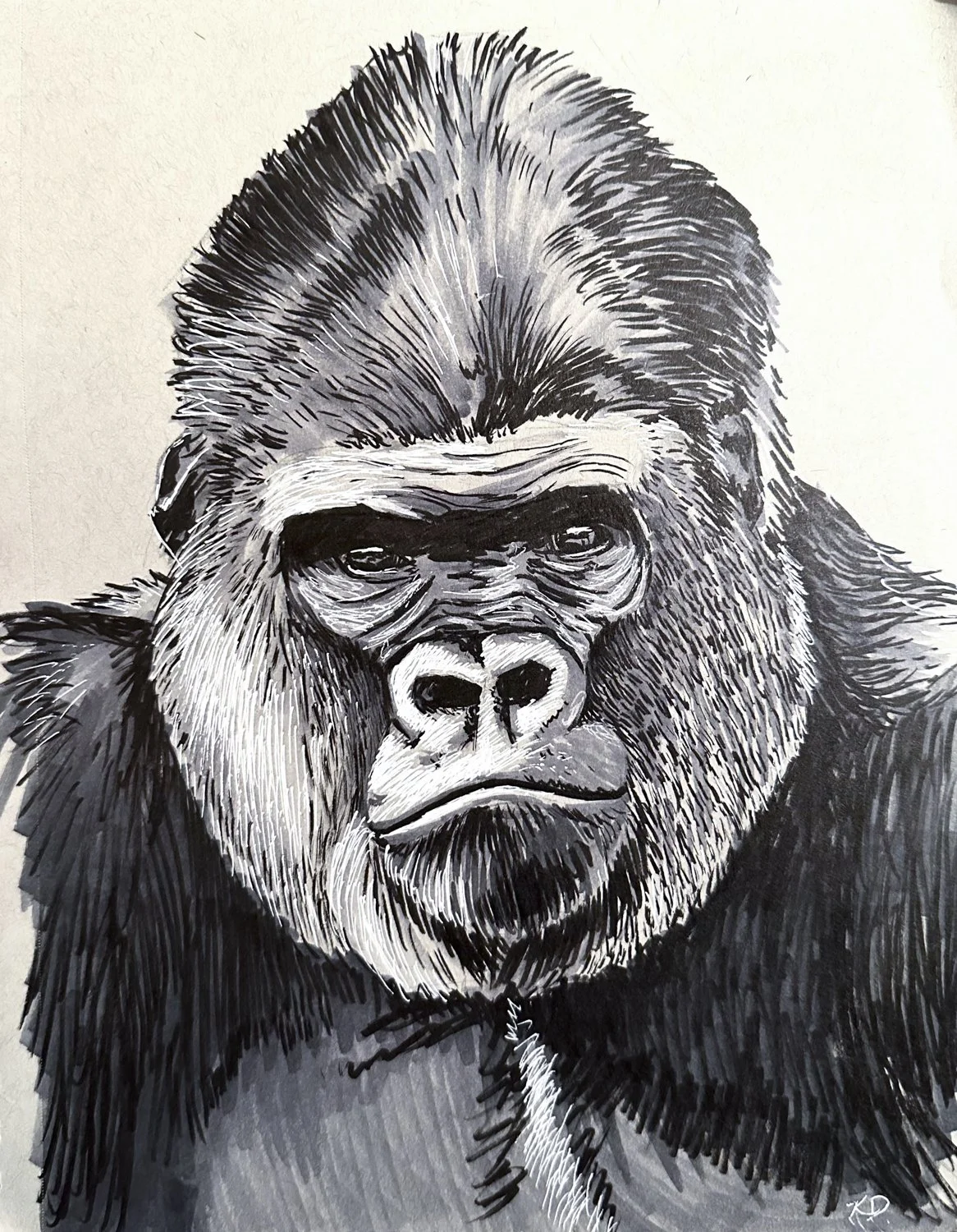 gorilla.jpg