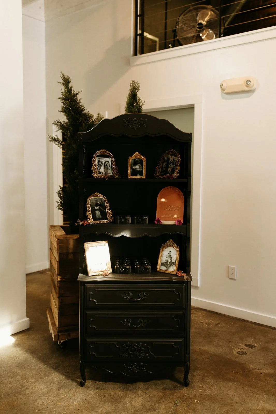 A black vintage dresser with drawers, decorated with framed photographs, small cameras, and a greeting card, placed in a room with white walls and brown carpet. There are two small artificial trees behind it and some greenery on the furniture.