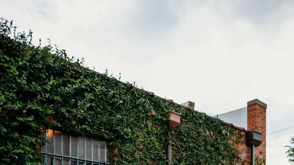 A brick building with a chimney, partially covered in green ivy, under a cloudy sky.