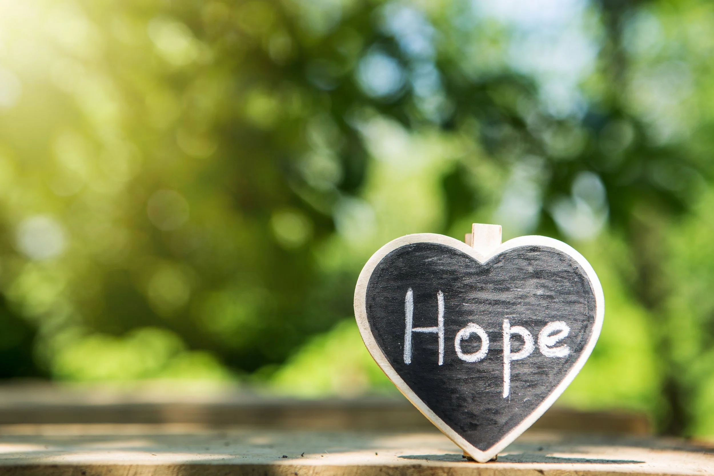 Mental Health Services available in Elko County