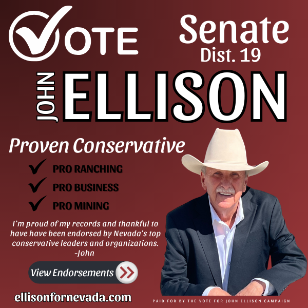 Ellison for Nevada Republican Senate District 19